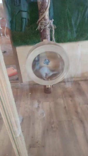 ура день стажора с Соней