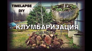 КАК СДЕЛАТЬ КЛУМБУ КРУТОЙ ЗА 10 МИНУТ?) DIY / TIMELAPSE