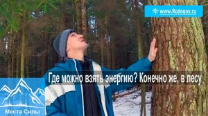 Где можно взять энергию? Конечно же в лесу [Родогой Орлов]