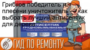 Грибков победитель и плесени уничтожитель — как выбрать лучший антисептик для дерева