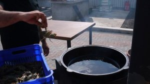 САМЫЕ ВКУСНЫЕ РАКИ НА КОСТРЕ🦞