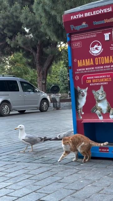 Нарочно не придумаешь 🤣