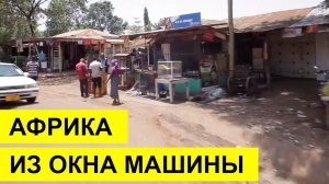 Африка из окна машины