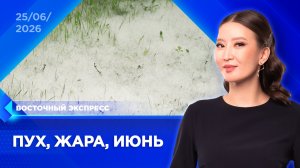 Тополиный пух заполонил Улан-Удэ | «Восточный экспресс» | новости Бурятии