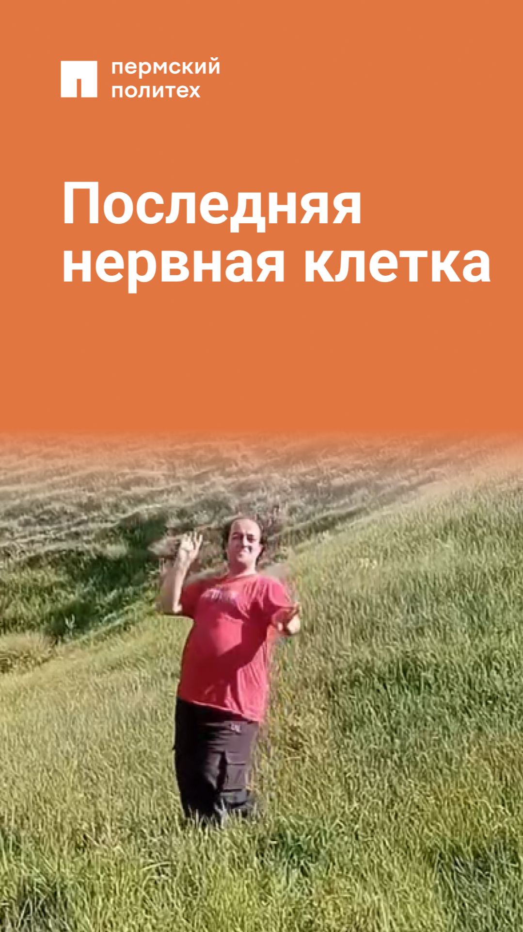 Последняя нервная клетка