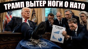 Трамп едет в Анкару ради Эрдогана, а не ради НАТО: европейцам указали на место