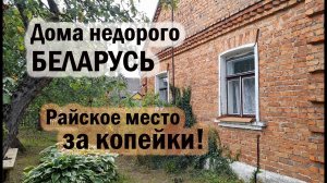 БРЕСТСКАЯ ОБЛАСТЬ. Райское место за копейки  Дома недорого, Вакансии. БЕЛАРУСЬ