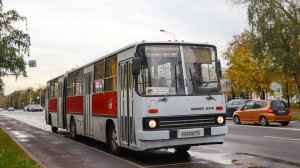 Поездка на ретро-автобусе Ikarus 280.33 №Н631ОВ797 №Старопетровский проезд-Моссельмаш