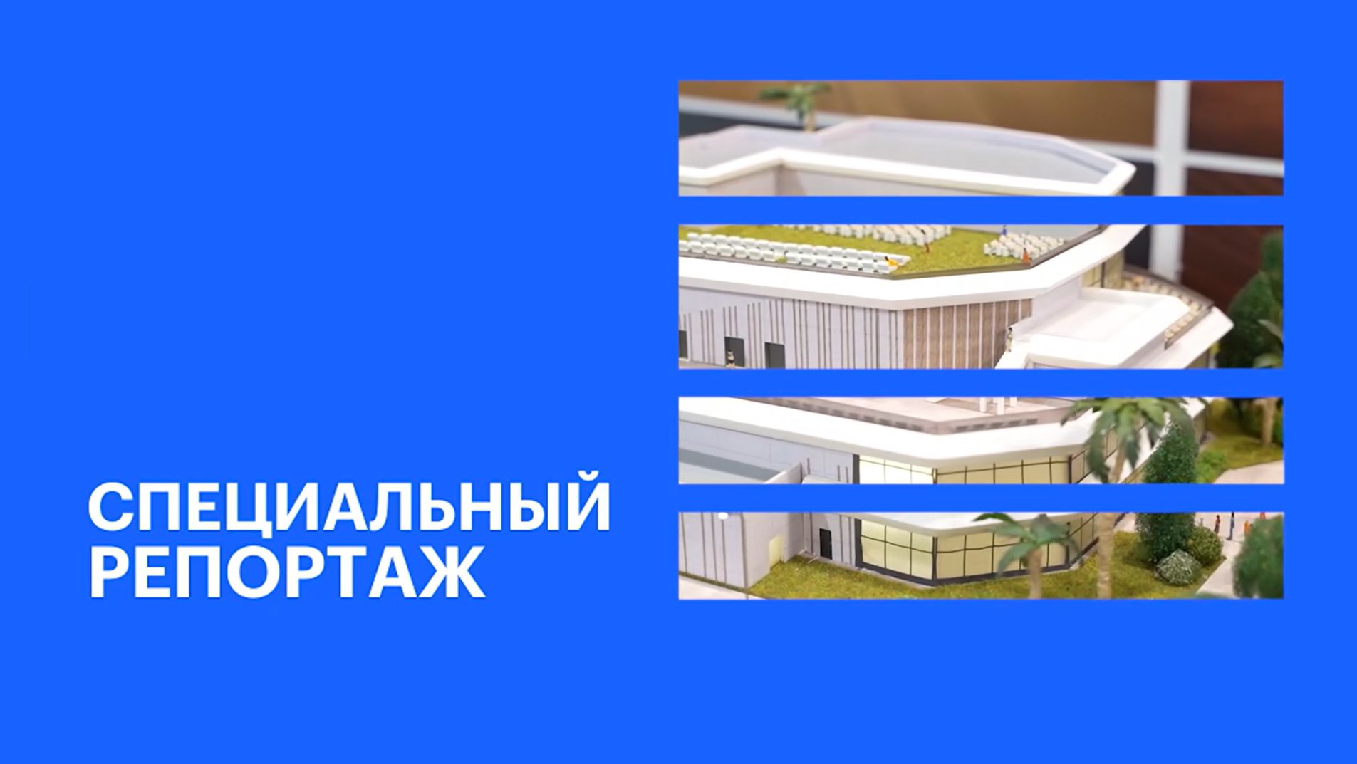 На форуме «Движение» впервые была представлена управляющая компания «Термы» || РБК Спецрепортаж
