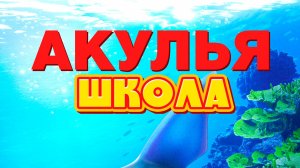 Акулья школа (2019) / Shark School