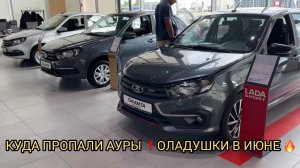 ОЛАДУШКИ В ИЮНЕ ❗️КУДА ПРОПАЛИ АУРЫ ❗️