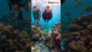 Serg Mivey «Through the Shards»(feat.Tiwawan). #music
