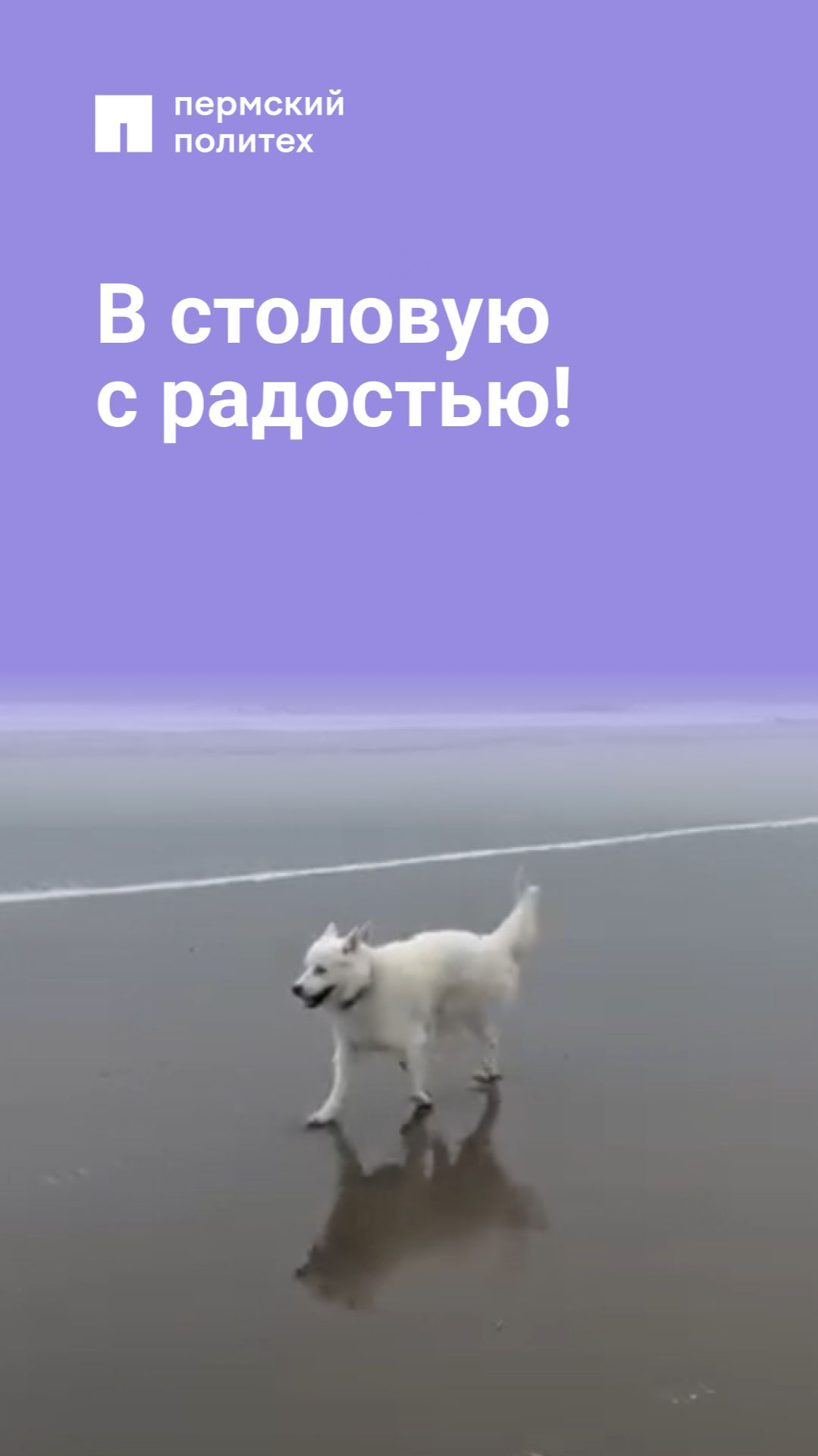 В столовую с радостью! смотреть онлайн