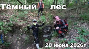 20.06.2026 Тёмный лес