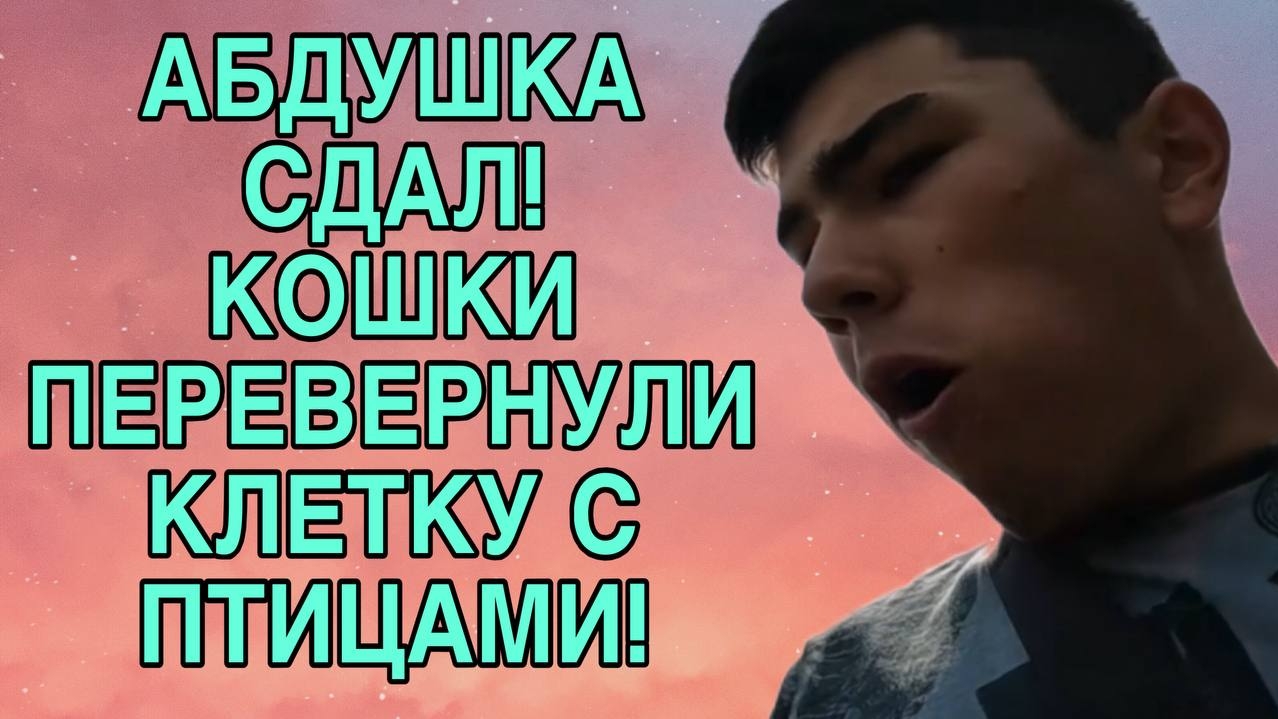ШОК! КОШКИ ПЕРЕВЕРНУЛИ КЛЕТКУ! ОЛЬГА УРАЛОЧКА LIVE. ОБЗОР. смотреть онлайн