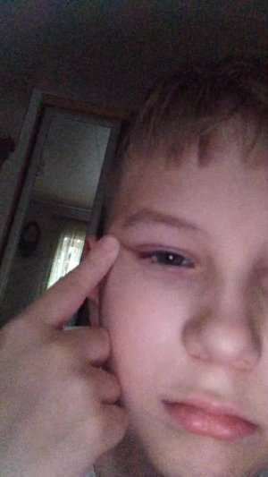 Пожалуйста задонте в геншин