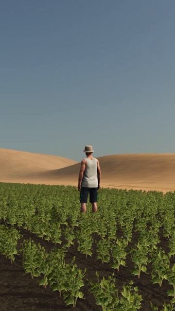 Пустыня_серия 2_Shorts 12