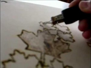 bernt wood Сanada name of maple leaves