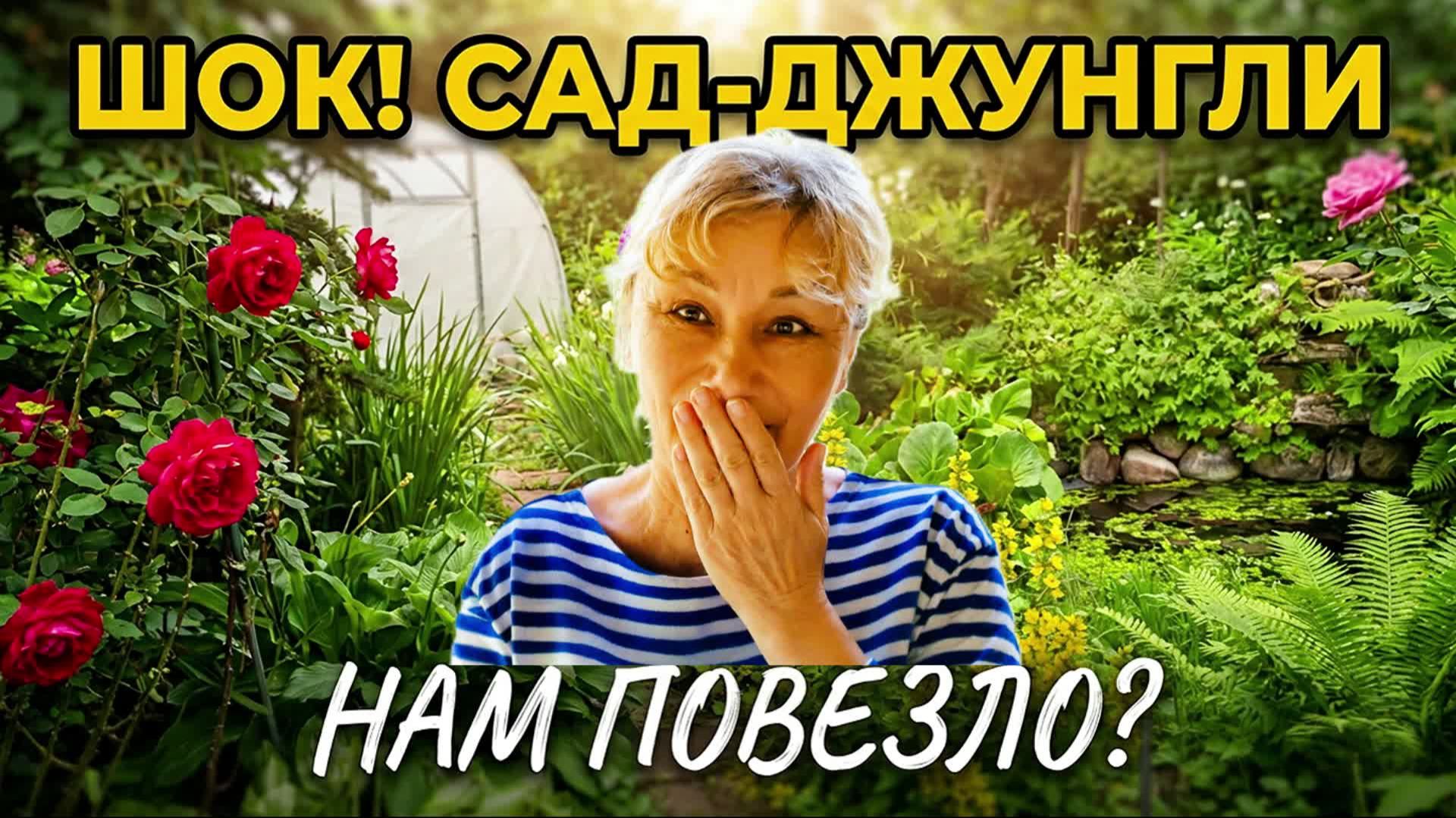 Джунгли с пальмой! Приехали на дачу, а тут такое... Сад-джунгли и море роз! смотреть онлайн