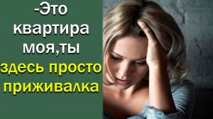 – Это квартира моя, ты здесь просто приживалка.Истории из жизни