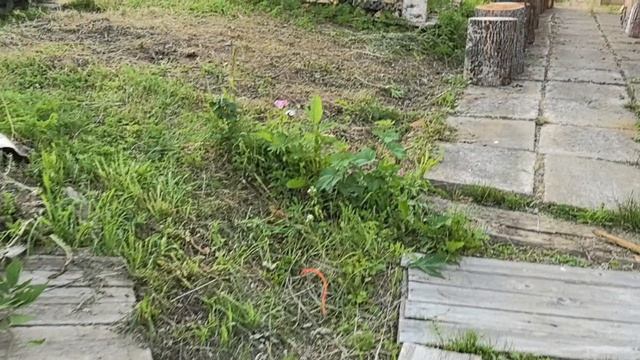 День перед отъездом в город. смотреть онлайн