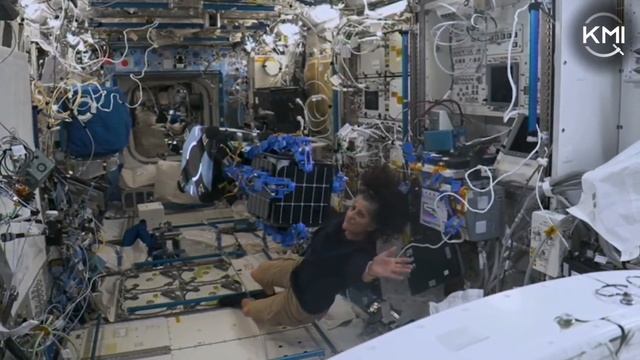 😋 В США создали космического осьминога для расчистки орбиты от мусора