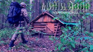 МИНИ-ИЗБА ИЗ ВАЛЕЖНИКА - Золотой сентябрь. Живу в избе в глухом лесу. Гнёзда диких ос в избе.