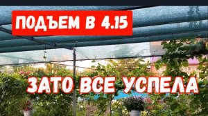 289🏡Ранний подъем/Заготовила борщ на зиму/Подкормила гортензии и герани/Все разбирают/Обещали дождь