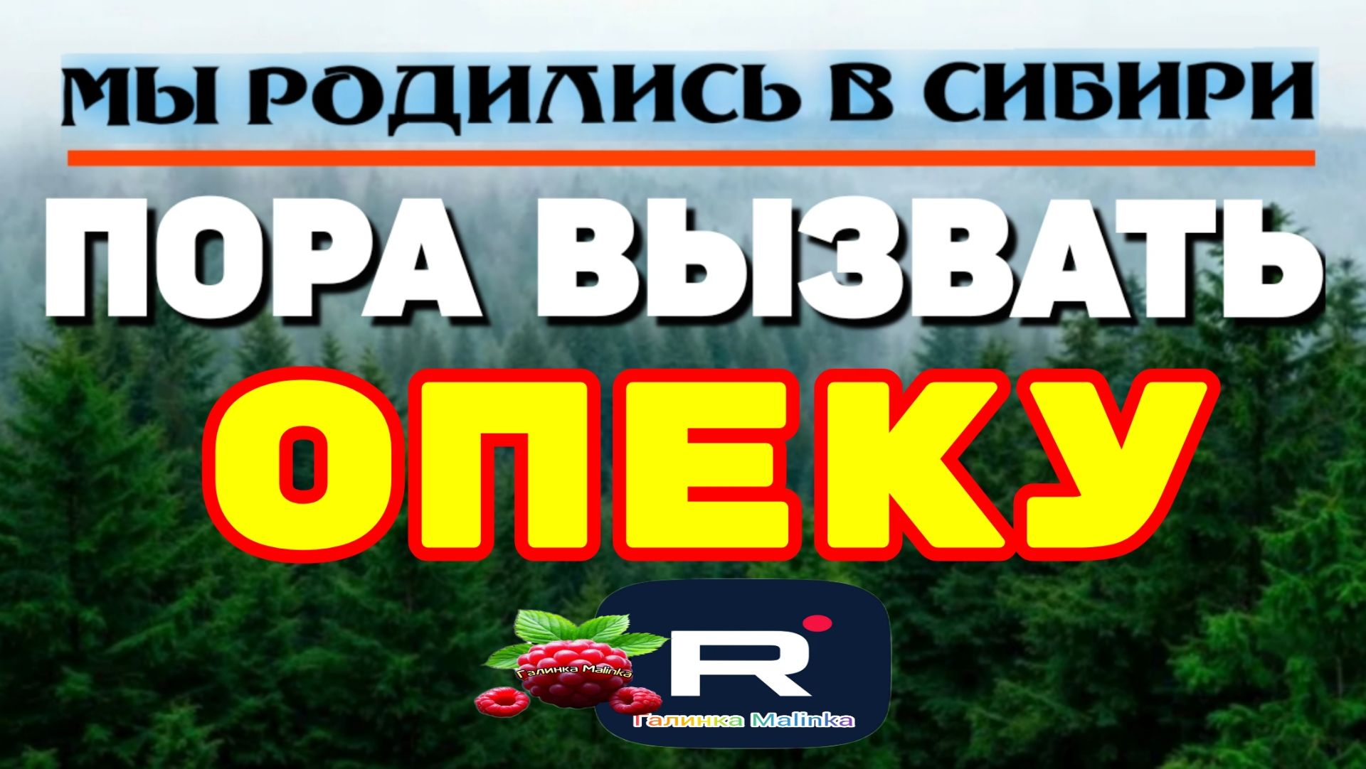 Пора вызывать Опеку /Шок /Мы родились в Сибири /Обзор смотреть онлайн