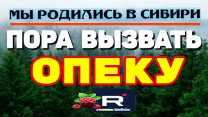 Пора вызывать Опеку /Шок /Мы родились в Сибири /Обзор