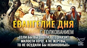 «Если бы вы знали, что значит: милости хочу, а не жертвы, то не осудили бы невиновных»/Евангелие дня