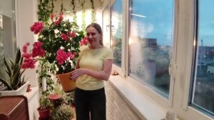 Секрет уютного БАЛКОНА раскрыт! Как мы превратили балкон в зимний сад