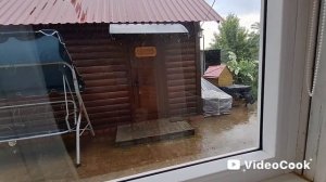 Влог/312/ Дожди залили, спасаем насаждения..Покупки для Иваныча..