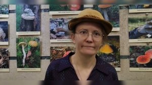польза грибов и определение их съедобности
