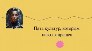 Пять культур, которым навоз запрещен