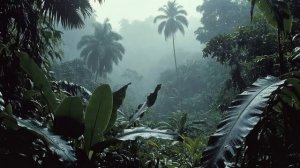Deep Liquid DnB Jungle Rain 🌧️ 2 Hour Deep Relax Vibes