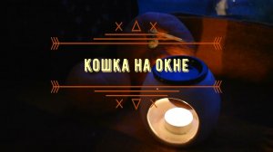Кошка на окне