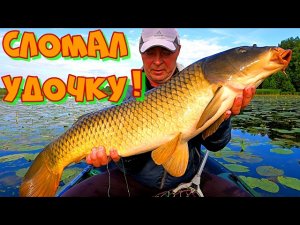 ТРОФЕЙНЫЙ САЗАН СЛОМАЛ УДОЧКУ ! Рыбалка на боковой кивок среди кувшинок .