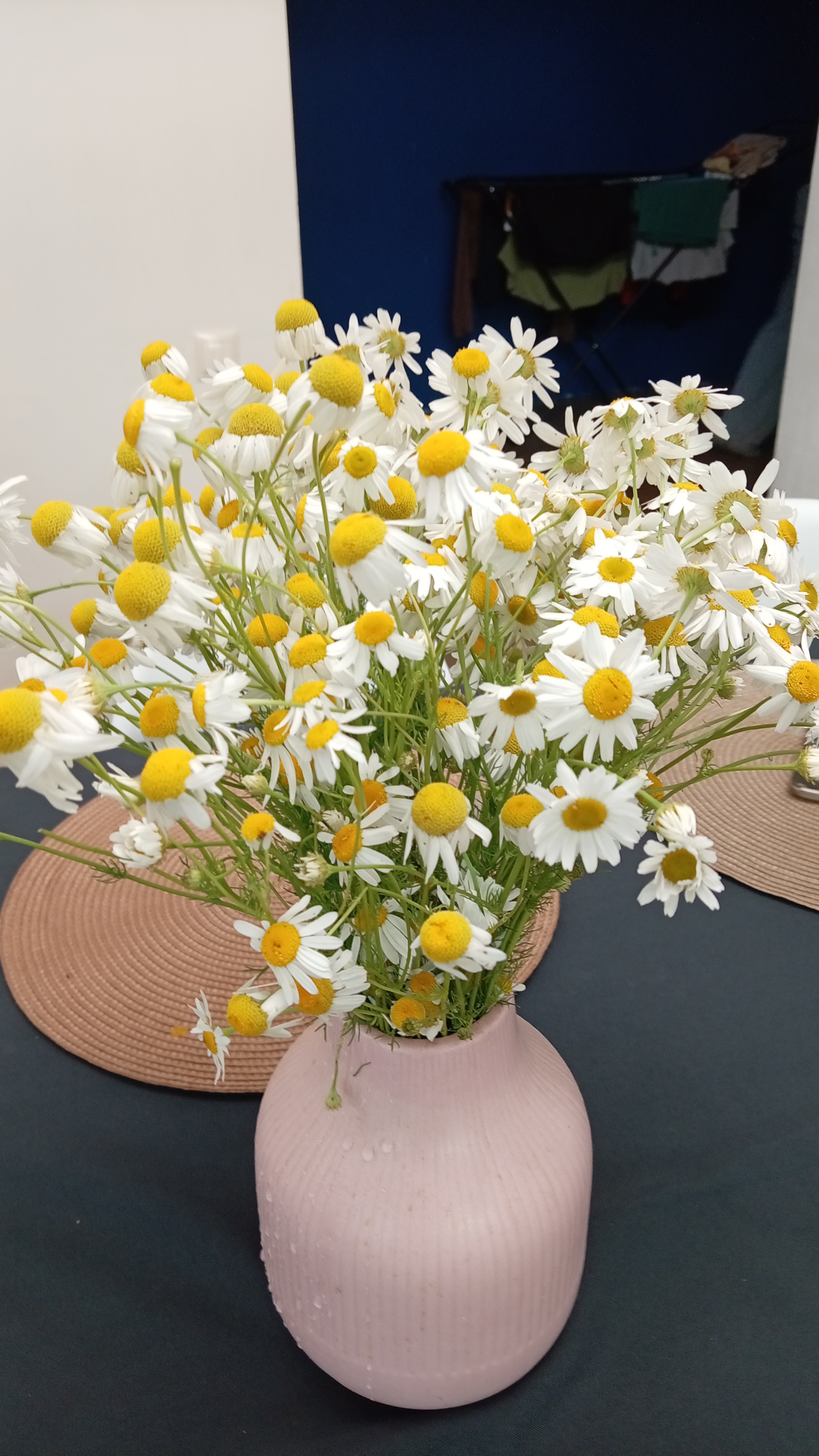 Цветы для мамы💐 смотреть онлайн