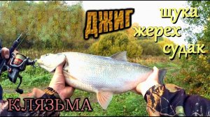Джиг и  - ловля щуки, судака! ТРОФЕЙНЫЙ ЖЕРЕХ на ДЖИГ!