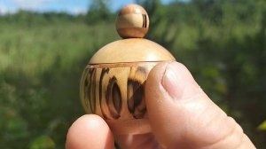 Шкатулка в июньском лесу с колокольчиками