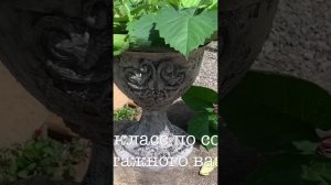 Как сделать из пластика камень. Мастер-класс Каменный винтажный вазон