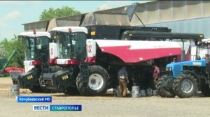 Аграрии Ставрополья приступают к уборке озимых зерновых