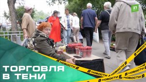 Торговля в тени. Дачники пытаются отбить прилавки под козырьком