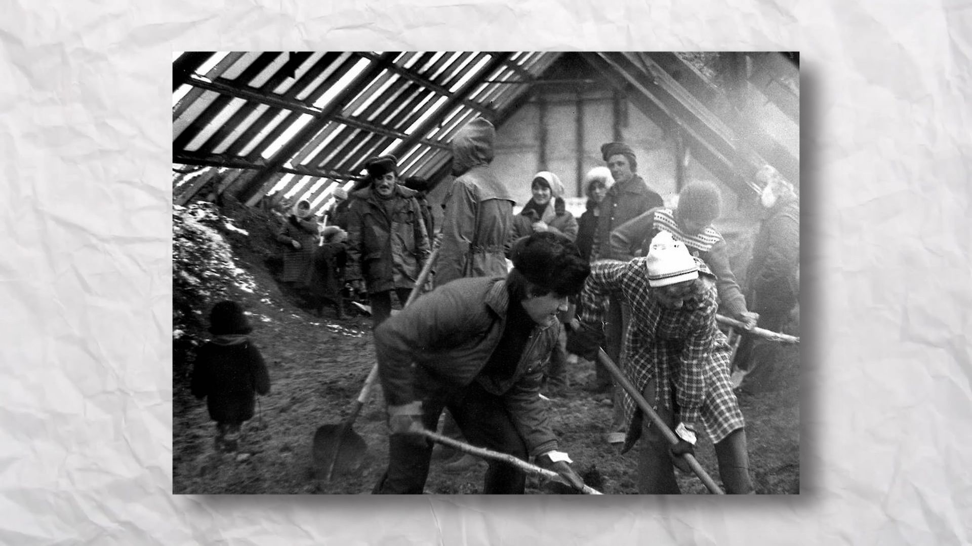 Как всё начиналось: тепличные огурцы при Вынгапуровском ЛПУМГ