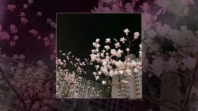 fadinglight - flowers (Официальная премьера трека) смотреть онлайн