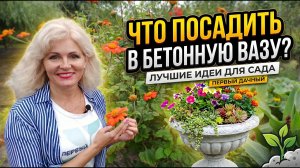 Бетонная ваза DIY | Преображение вашего ландшафта за один день