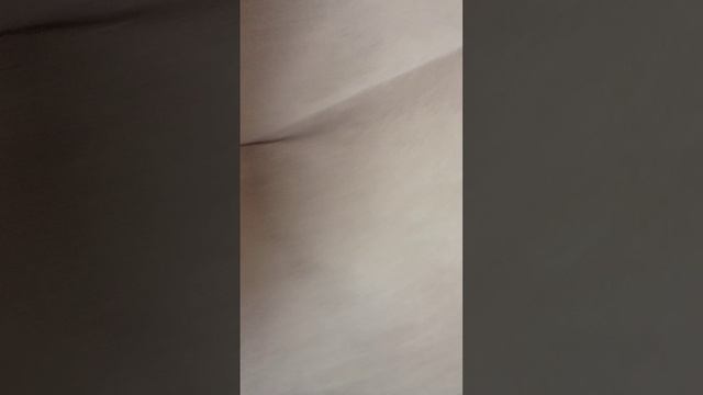 1000019006.mp4 смотреть онлайн