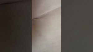 1000019006.mp4