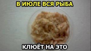 Добавив это к опарышу КЛЮЁТ ВСЯ РЫБА